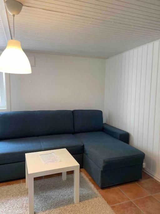 Fin Sentralt Hybel I Drammen Apartment Bagian luar foto
